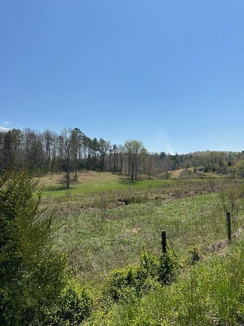 view of landscape with a rural view