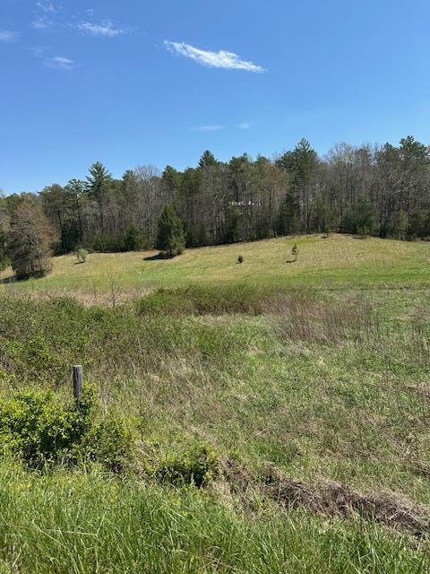 view of local wilderness featuring a rural view and a view of trees