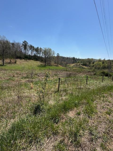 view of local wilderness featuring a rural view