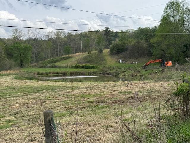 view of yard featuring a wooded view