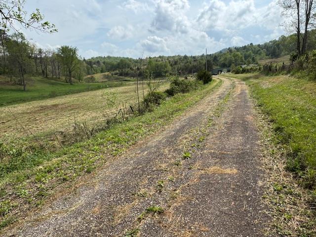 view of road with a wooded view, dirt driveway, and a rural view