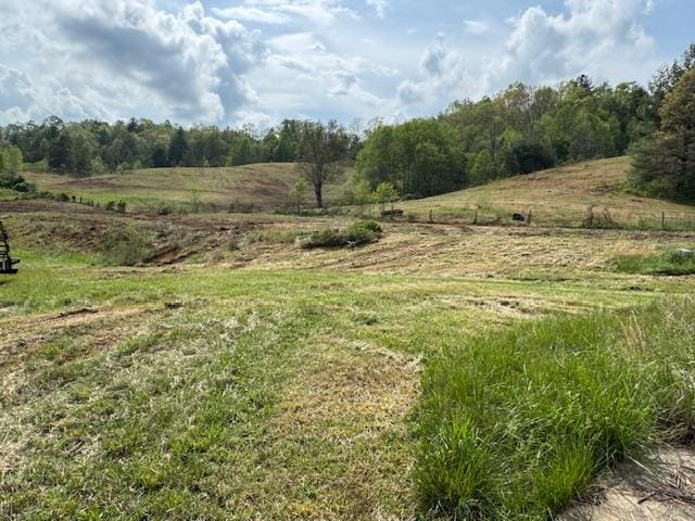 view of local wilderness with a rural view