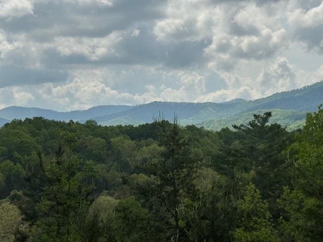 view of mountain feature featuring a wooded view