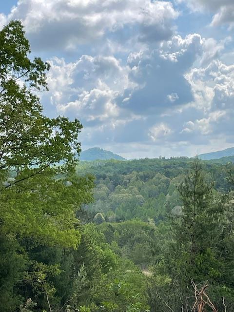property view of mountains with a forest view