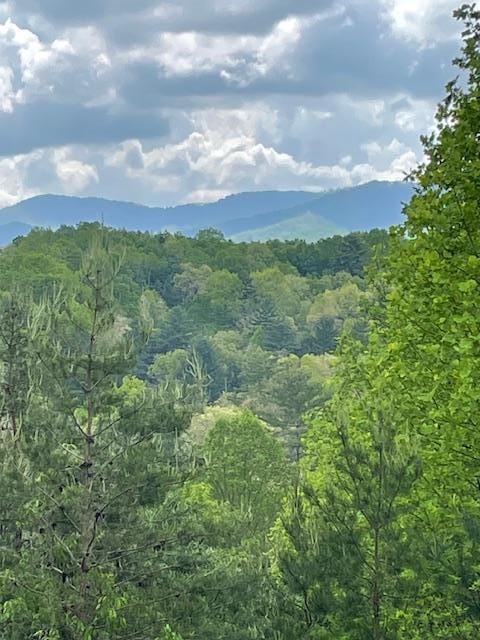 view of mountain feature with a forest view
