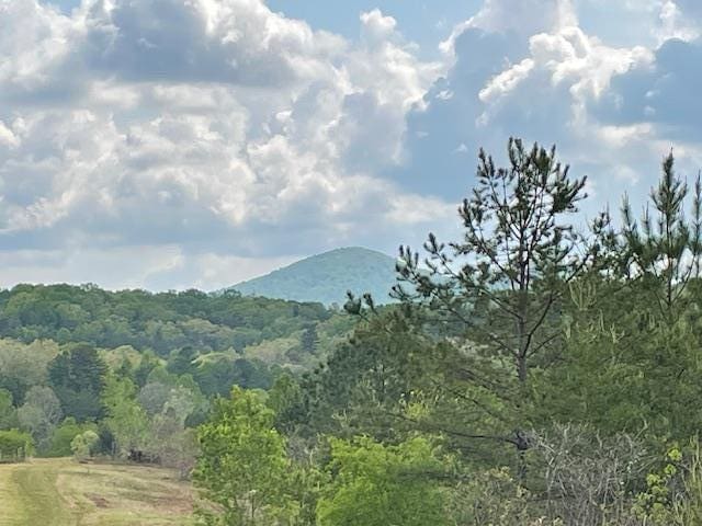 view of mountain feature featuring a forest view