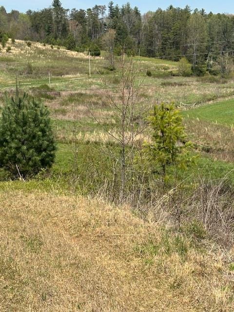554 Rocky Ford Rd, Turtletown, TN 37391 - view of woods with a view of countryside