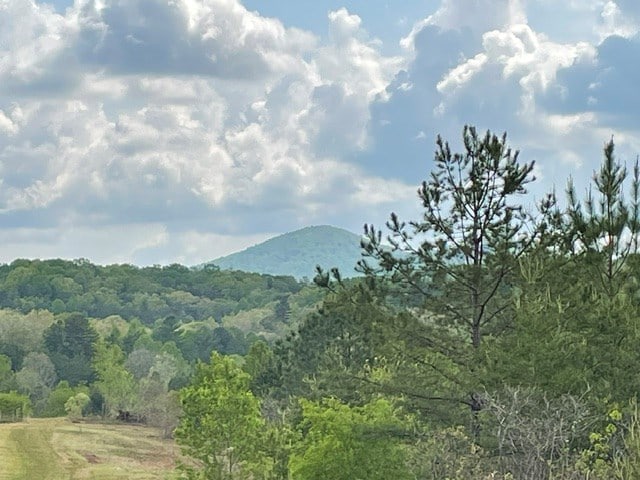 554 Rocky Ford Rd, Turtletown, TN 37391 - mountain view featuring a forest