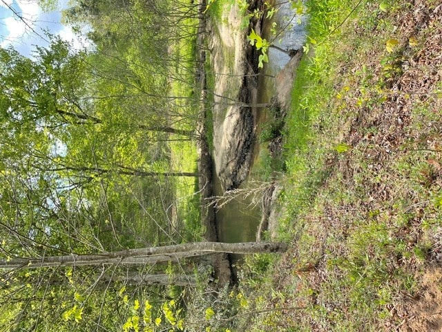 554 Rocky Ford Rd, Turtletown, TN 37391 - view of undeveloped land