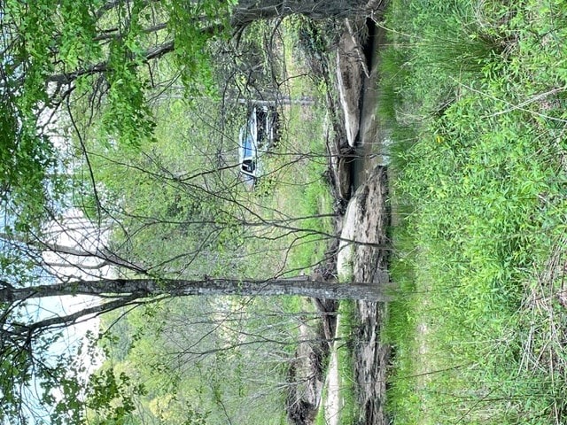 554 Rocky Ford Rd, Turtletown, TN 37391 - view of tree filled area