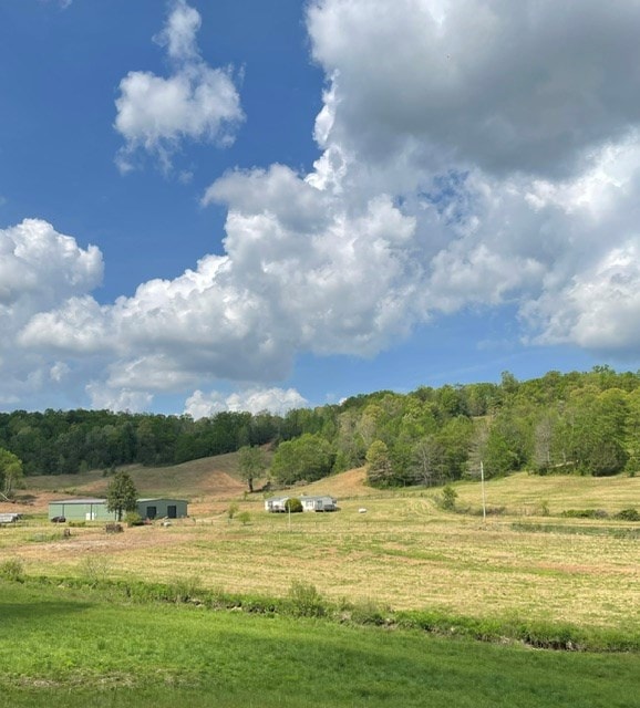 554 Rocky Ford Rd, Turtletown, TN 37391 - view of yard featuring a rural view and a wooded view