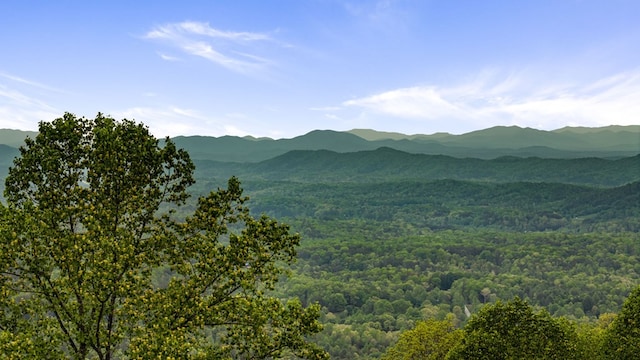 mountain view featuring a forest view