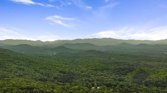 view of mountain feature featuring a wooded view