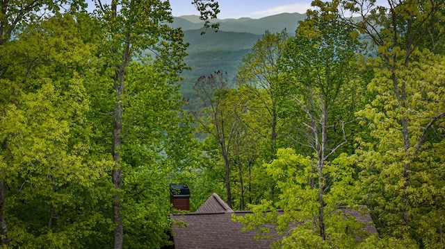 mountain view