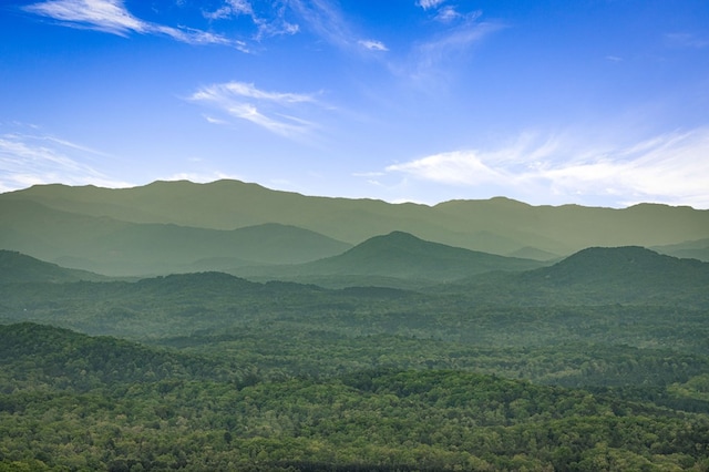 view of mountain feature with a forest view