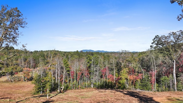 view of landscape