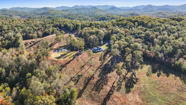 drone / aerial view with a mountain view