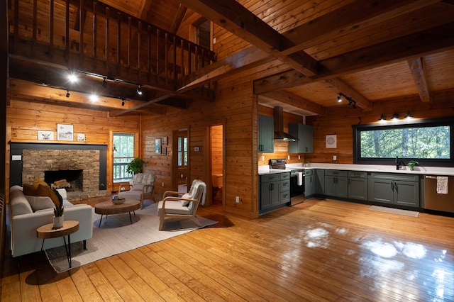365 Browns Cove Rd, Blue Ridge, GA 30513 - kitchen with stainless steel appliances, track lighting, light countertops, open floor plan, and light wood-style floors