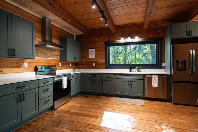 365 Browns Cove Rd, Blue Ridge, GA 30513 - kitchen featuring appliances with stainless steel finishes, wall chimney exhaust hood, rail lighting, a sink, and light countertops