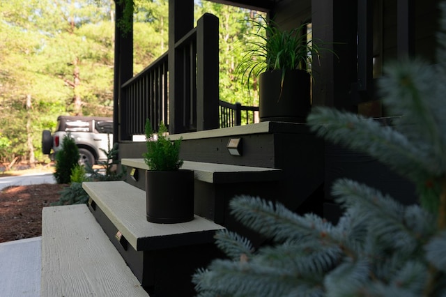 365 Browns Cove Rd, Blue Ridge, GA 30513 - view of patio