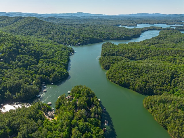 365 Browns Cove Rd, Blue Ridge, GA 30513 - aerial view of a heavily wooded area and a water and mountain view