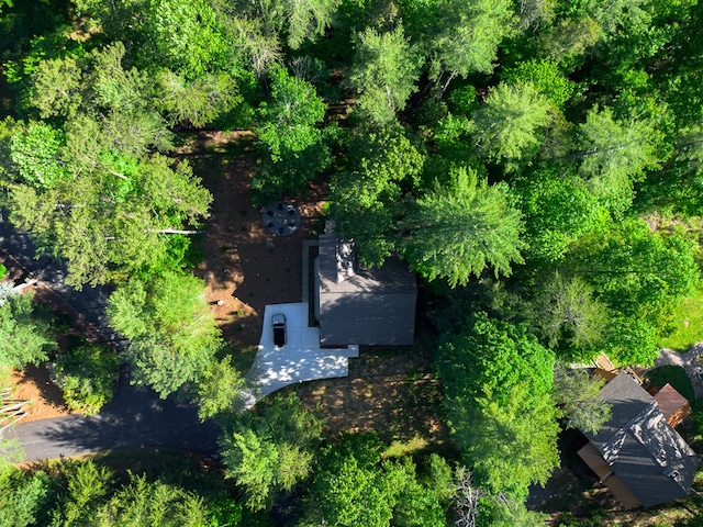 365 Browns Cove Rd, Blue Ridge, GA 30513 - view from above of property