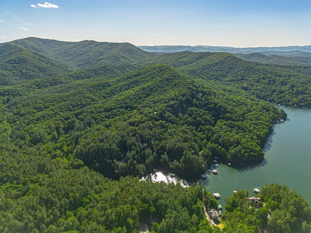 365 Browns Cove Rd, Blue Ridge, GA 30513 - drone / aerial view of a water and mountain view and a heavily wooded area