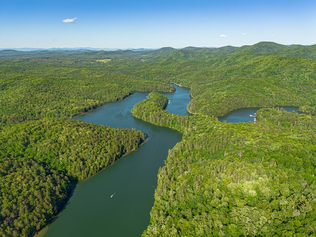 365 Browns Cove Rd, Blue Ridge, GA 30513 - drone / aerial view of a heavily wooded area and a water and mountain view