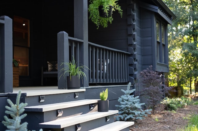 365 Browns Cove Rd, Blue Ridge, GA 30513 - view of property entrance