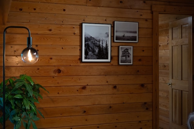 365 Browns Cove Rd, Blue Ridge, GA 30513 - detailed view of wood walls
