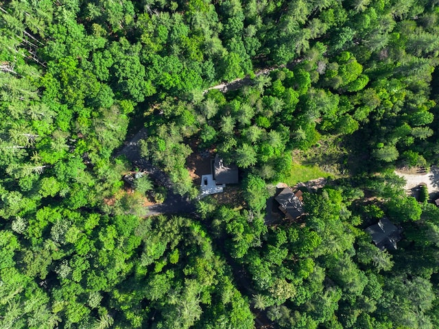 365 Browns Cove Rd, Blue Ridge, GA 30513 - aerial view of property and surrounding area