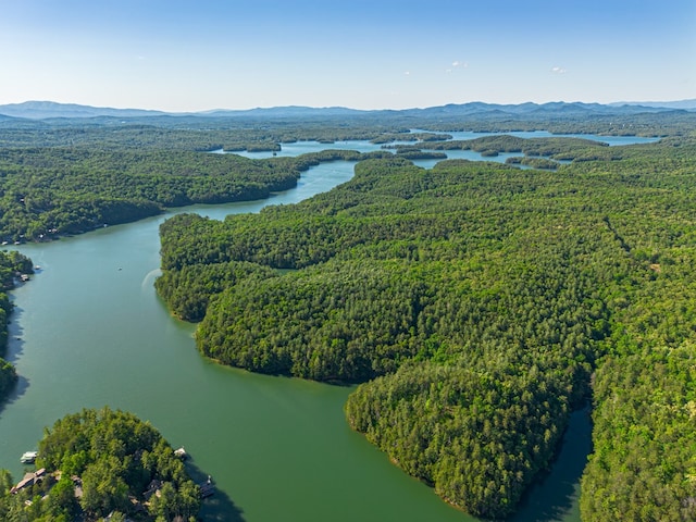 365 Browns Cove Rd, Blue Ridge, GA 30513 - drone / aerial view of a forest and a water and mountain view