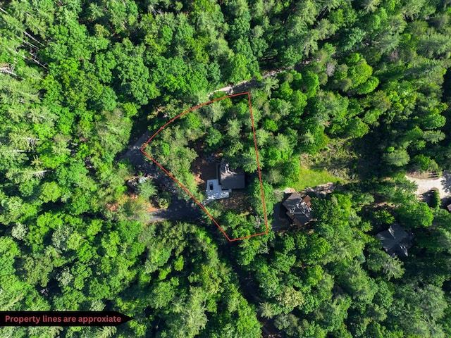 365 Browns Cove Rd, Blue Ridge, GA 30513 - view of property location with property boundaries highlighted