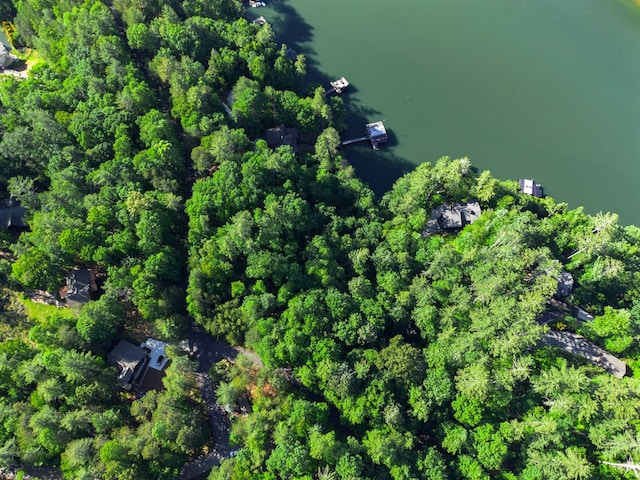 365 Browns Cove Rd, Blue Ridge, GA 30513 - aerial view of property and surrounding area