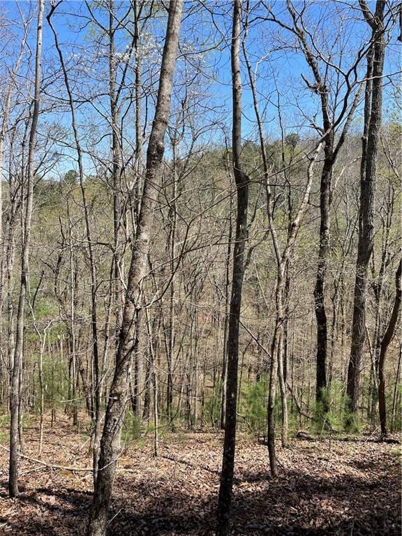 1672 Hunter Dr, Ranger GA, 30734 land for sale