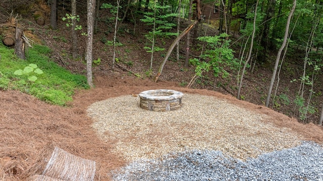 view of yard featuring an outdoor fire pit