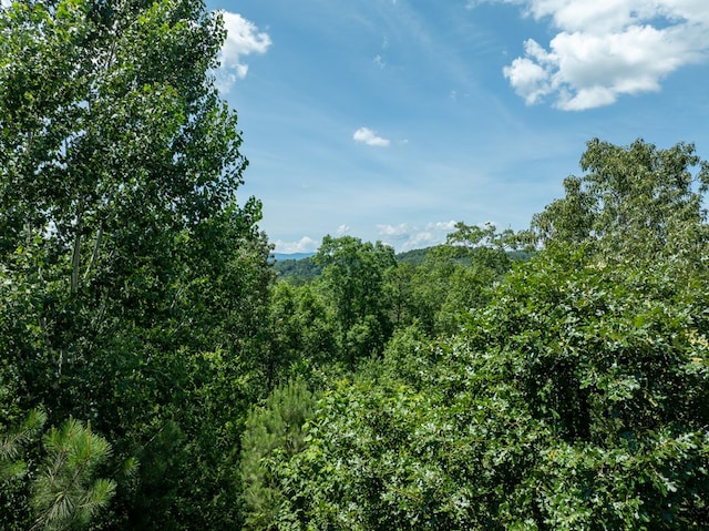 904 Villa Dr, Ellijay, GA 30540 - view of woods