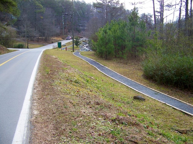 904 Villa Dr, Ellijay, GA 30540 - view of asphalt street with a forest view