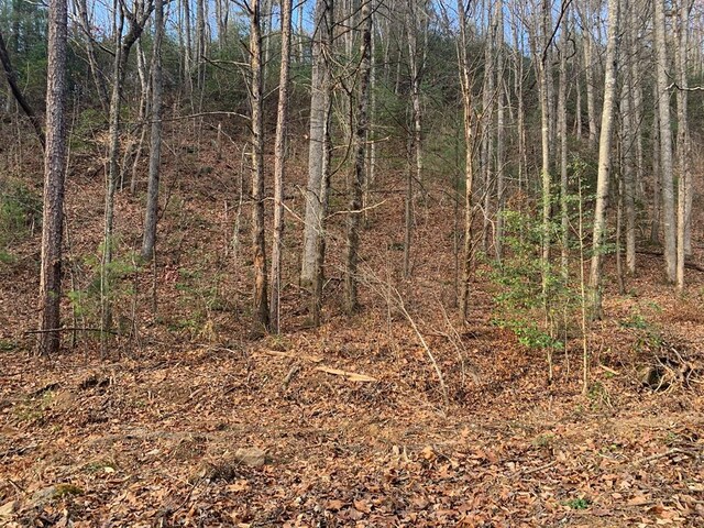 LOT76 Ten Pointe Trl, Murphy NC, 28906 land for sale