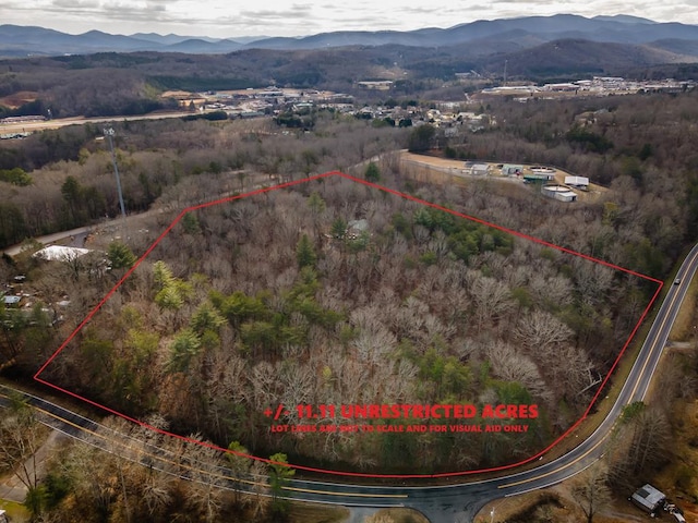 birds eye view of property with a mountain view