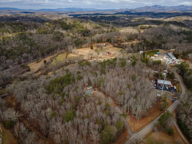 bird's eye view with a mountain view