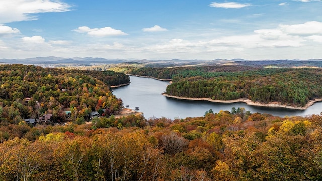 aerial view with a water and mountain view and a wooded view