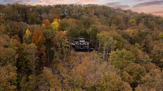 bird's eye view featuring a wooded view