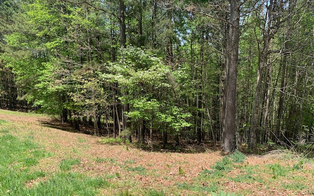 Listing photo 3 for LT28 Loftis Mtn, Blairsville GA 30512