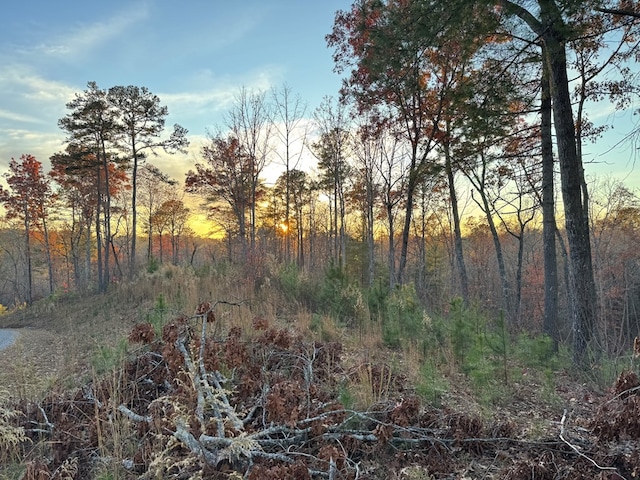 Listing photo 2 for LOT133 Sundown Trl, Ellijay GA 30541