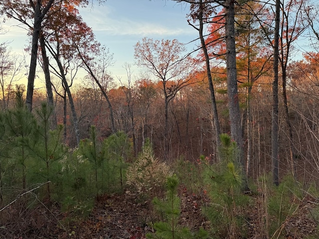 Listing photo 3 for LOT133 Sundown Trl, Ellijay GA 30541