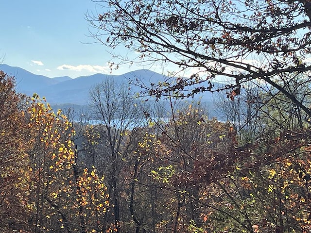 414243 Ridges Overlook, Hayesville, NC 28904