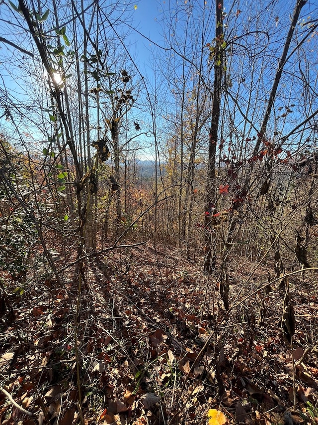 414243 Ridges Overlook, Hayesville, NC 28904