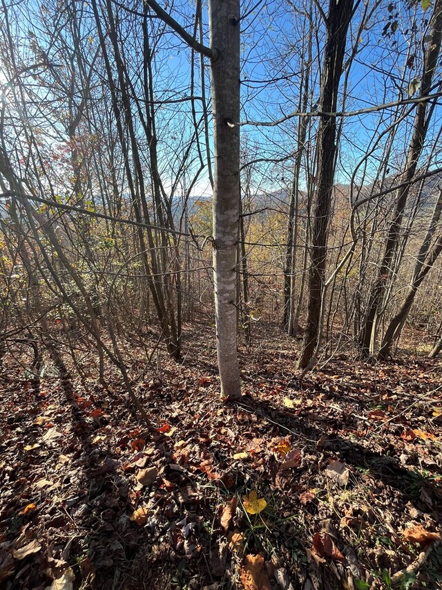 414243 Ridges Overlook, Hayesville, NC 28904