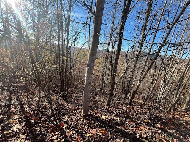 414243 Ridges Overlook, Hayesville, NC 28904
